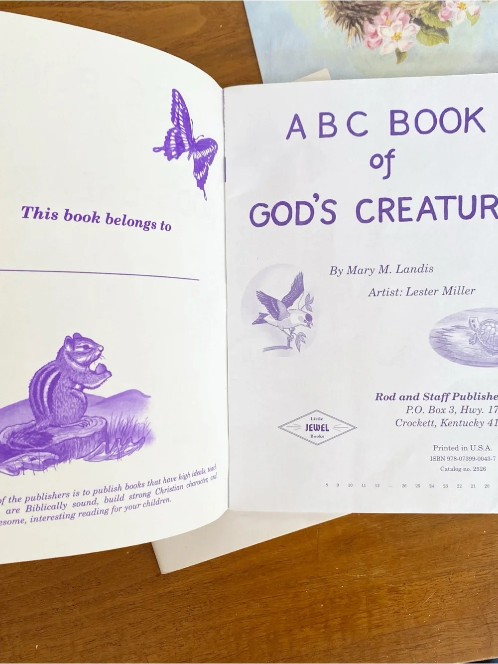 Lot 3 Little Jewel Books Rod & Staff Publishers Bible Based Christian Children's